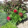 Garten Gästeheim Lederle Pitztal