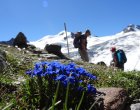 Taschachglertscher - Inge Pechtl (c) TVB Pitztal